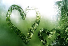 乐竟体育平台 -足总杯赛程吃紧，印第安纳步行者今夜复出首秀，目标明确，更衣室氛围转暖(nba绿军加时险胜步行者)